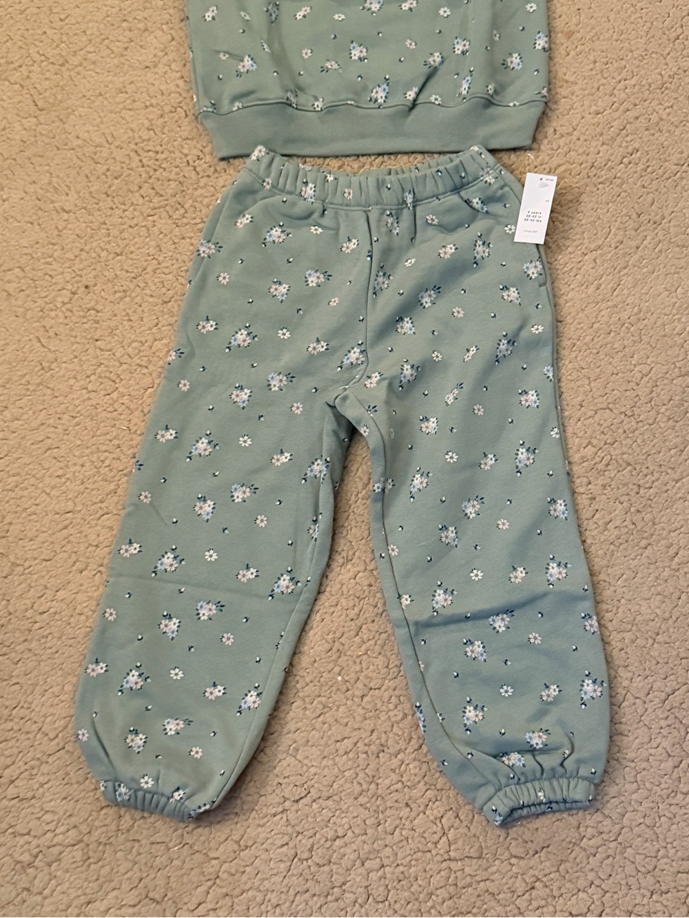 🤍Gap Toddler Vintage Soft Floral Sweat Set🤍 - Picture 4 of 6